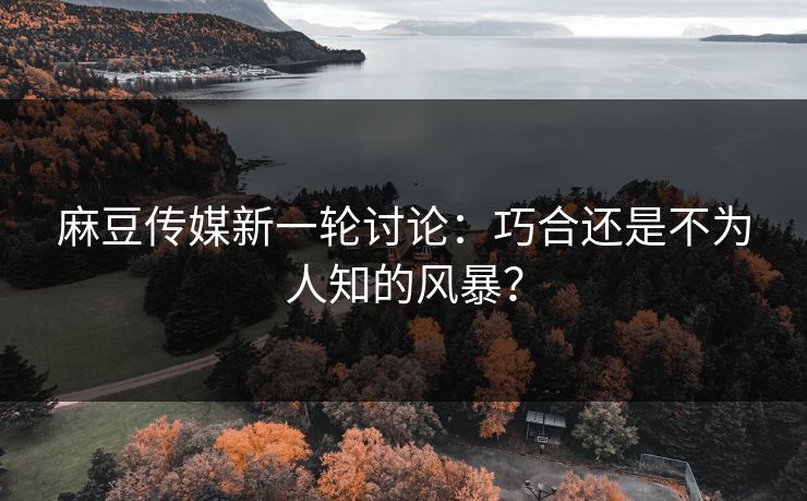 麻豆传媒新一轮讨论：巧合还是不为人知的风暴？  第1张