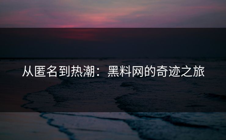 从匿名到热潮：黑料网的奇迹之旅  第1张