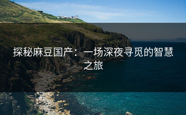 探秘麻豆国产：一场深夜寻觅的智慧之旅  第1张