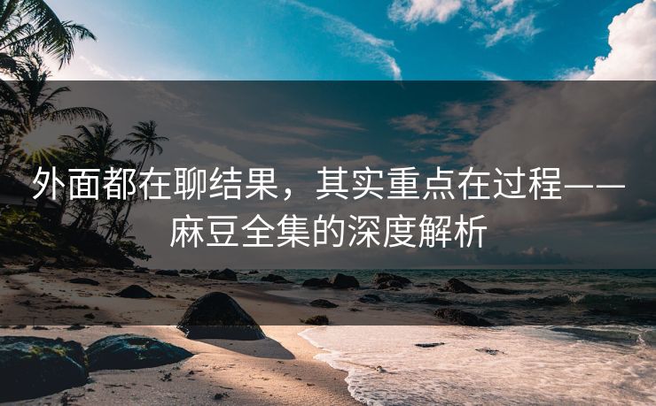 外面都在聊结果，其实重点在过程——麻豆全集的深度解析  第1张